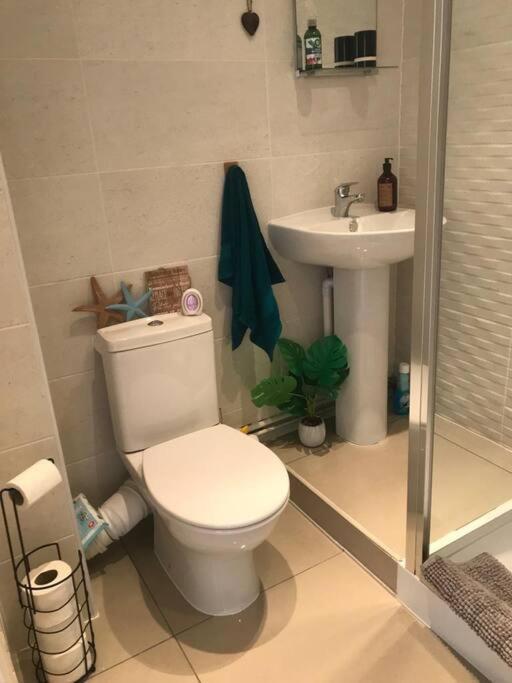 Caldey View Apartment Tenby Bagian luar foto